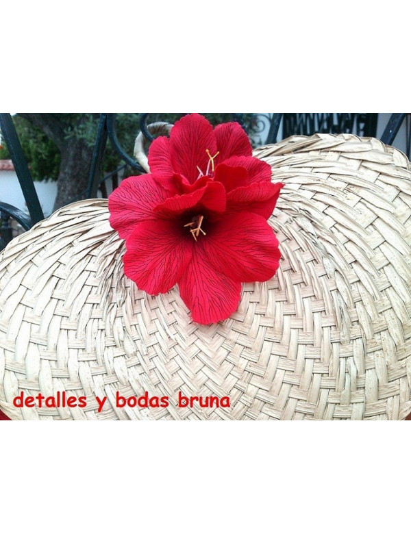 Pay pay de Rafia natural 