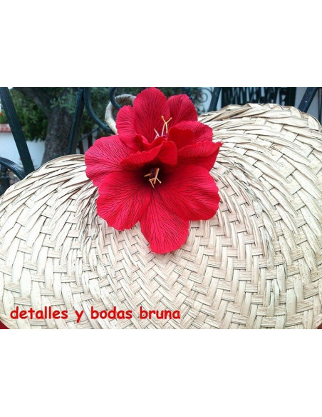 Pay pay de Rafia natural 