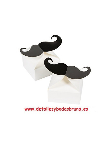 Cajita Bigotes ULTIMAS 45 UNIDADES