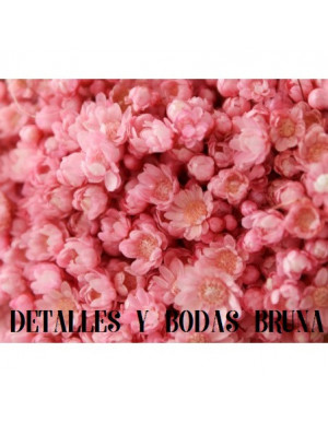 Marcela Preservada Rosa 55 gramos 2