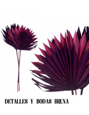 Hoja de Palmera Morado y Rosa Seca 3 Unidades 2