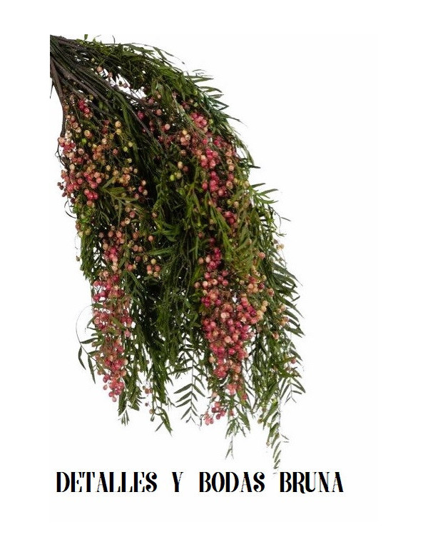 Falsa Pimienta Preservada