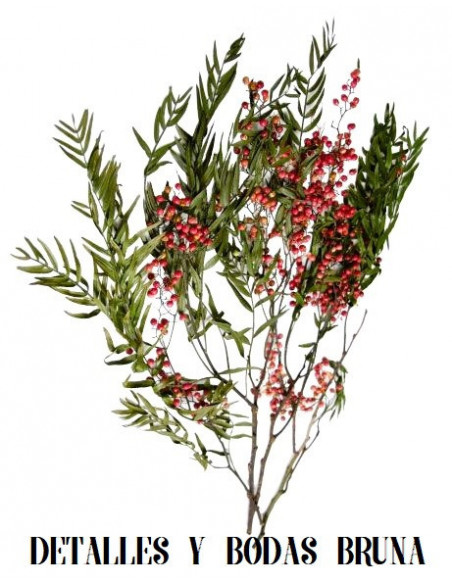 Falsa Pimienta Preservada