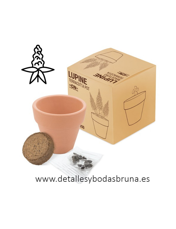 Maceta de Terracota Lupino