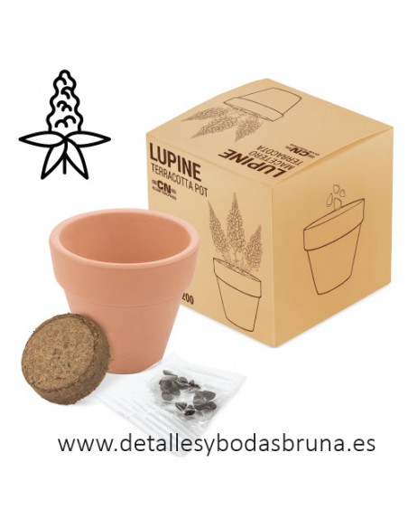 Maceta de Terracota Lupino