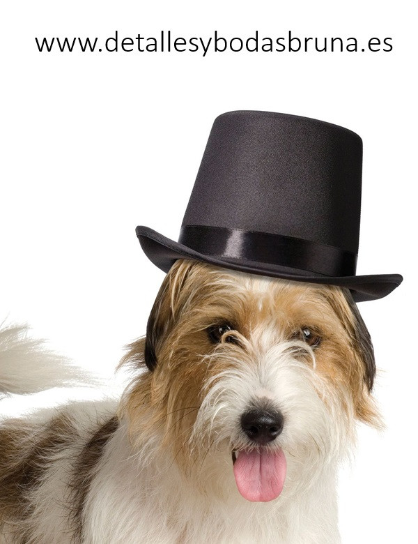 Sombrero Chistera para Perro Anillos