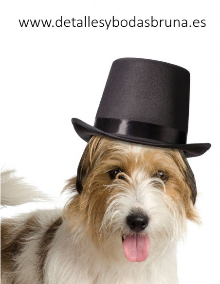 Sombrero Chistera para Perro Anillos