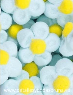 Margaritas Nubes Azul