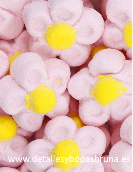 Margaritas Nubes Rosa