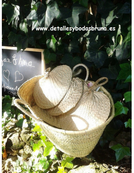 Pay pay de Rafia natural 